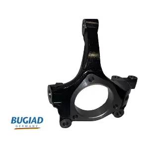 BSP25173 BUGIAD