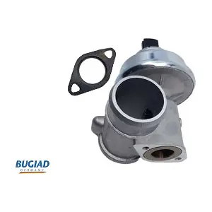 BGR13062 BUGIAD
