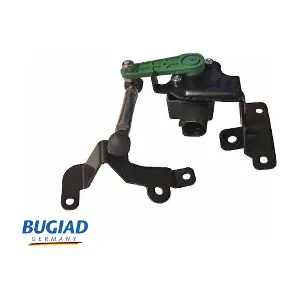 BXS19655 BUGIAD