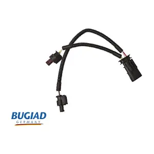 BCS52131 BUGIAD