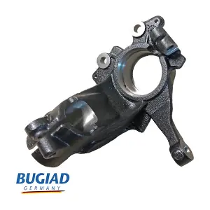 BSP25527 BUGIAD
