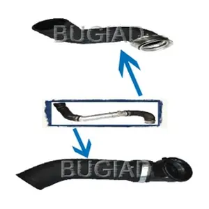 84615 BUGIAD