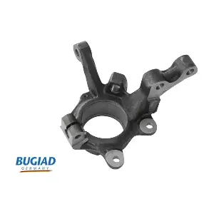 BSP25296 BUGIAD