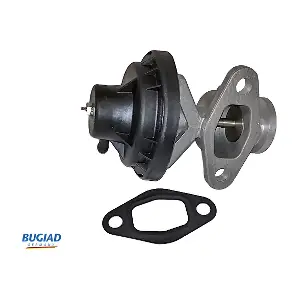 BGR13026 BUGIAD