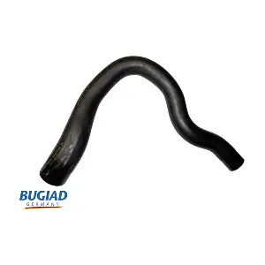 BUGIAD 82591