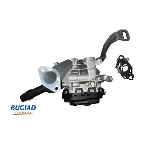 BGR13117 BUGIAD