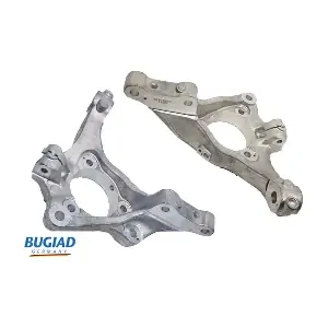BSP25170 BUGIAD