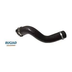 82461 BUGIAD