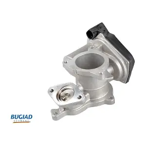 BGR13104 BUGIAD