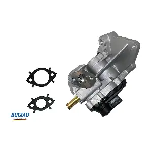 BGR13012 BUGIAD