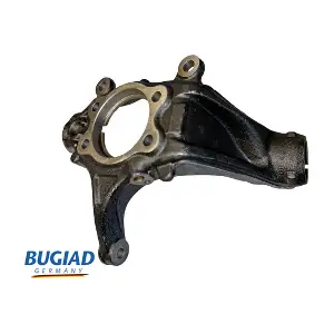 BSP25598 BUGIAD