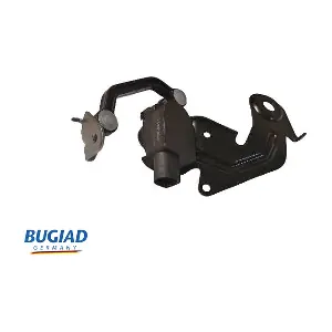 BXS19646 BUGIAD