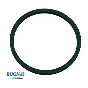 BUGIAD 81809