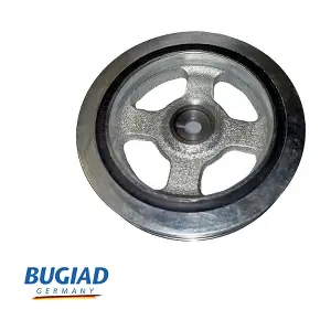 BCP16733 BUGIAD