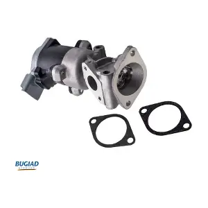 BUGIAD BGR13077