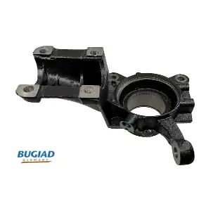 BSP25289 BUGIAD