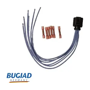 BCS52124 BUGIAD