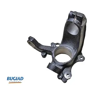 BSP20011 BUGIAD