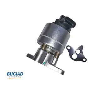 BGR13041 BUGIAD