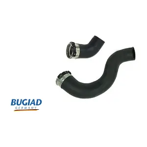 BUGIAD 82432