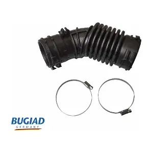 BIH18137 BUGIAD