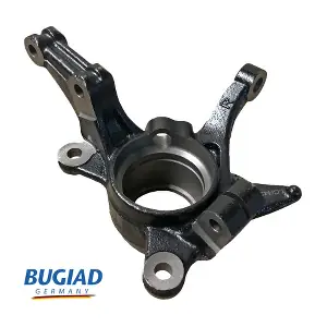 BSP25542 BUGIAD