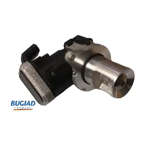 BGR13124 BUGIAD