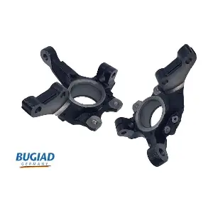 BSP25161 BUGIAD