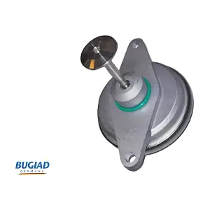 BGR13038 BUGIAD