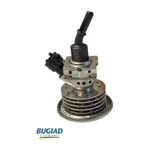 BAB71512 BUGIAD