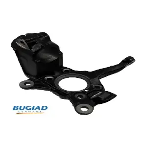 BSP25331 BUGIAD