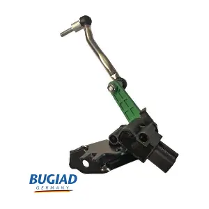 BXS19618 BUGIAD
