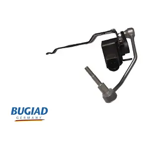 BXS19629 BUGIAD