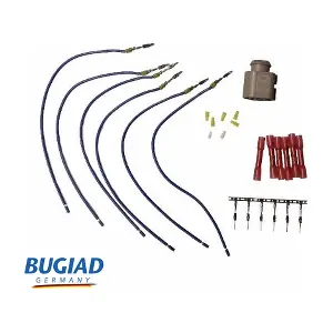 BCS52119 BUGIAD