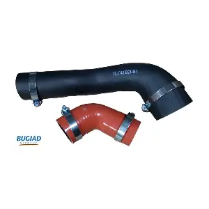 82081 BUGIAD