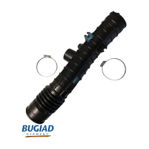 BIH18136 BUGIAD