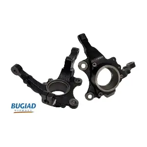 BSP25169 BUGIAD
