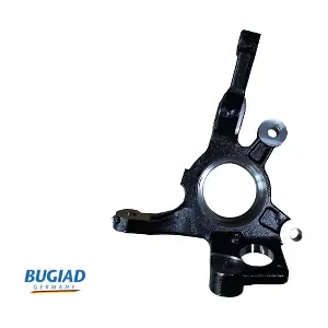 BSP25386 BUGIAD