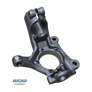 BSP25475 BUGIAD