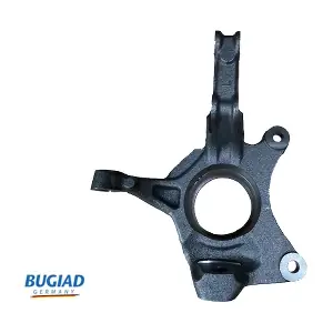 BSP25367 BUGIAD
