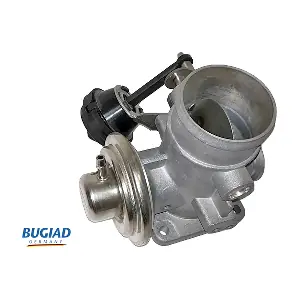BGR13022 BUGIAD