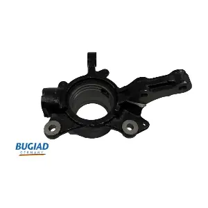 BSP25303 BUGIAD