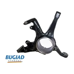 BSP25136 BUGIAD