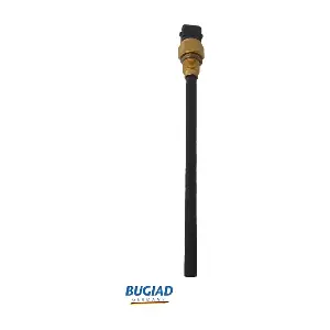 BOL15953 BUGIAD