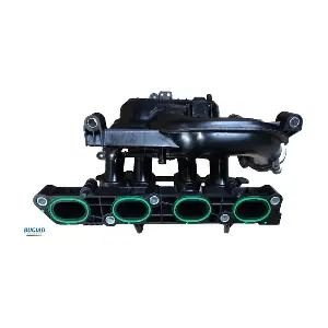 BIM17029 BUGIAD