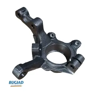 BSP25464 BUGIAD