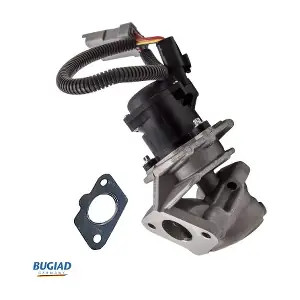 BGR13059 BUGIAD
