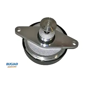 BGR13037 BUGIAD