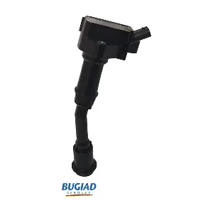 BIC19811 BUGIAD