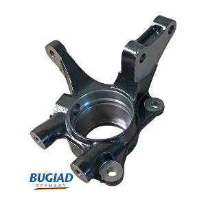 BSP25539 BUGIAD